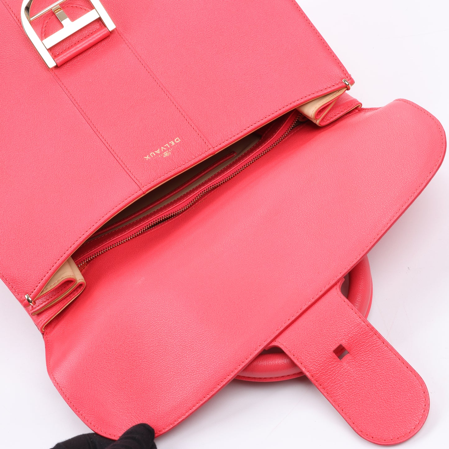 Delvaux Brillant GM Leather 2Way Handbag in Pink