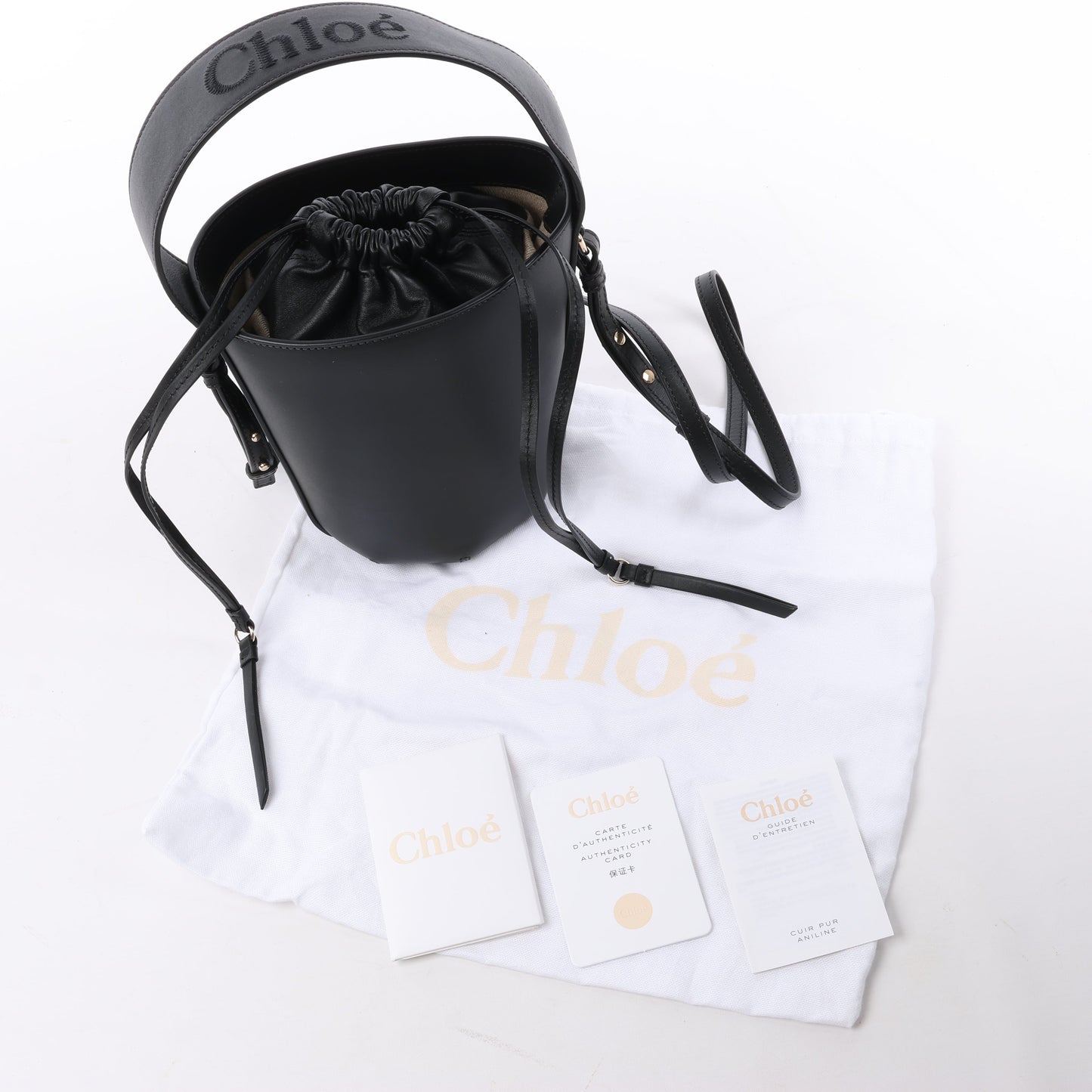 Chloe Sense Buckets Leather 2Way Handbag in Black