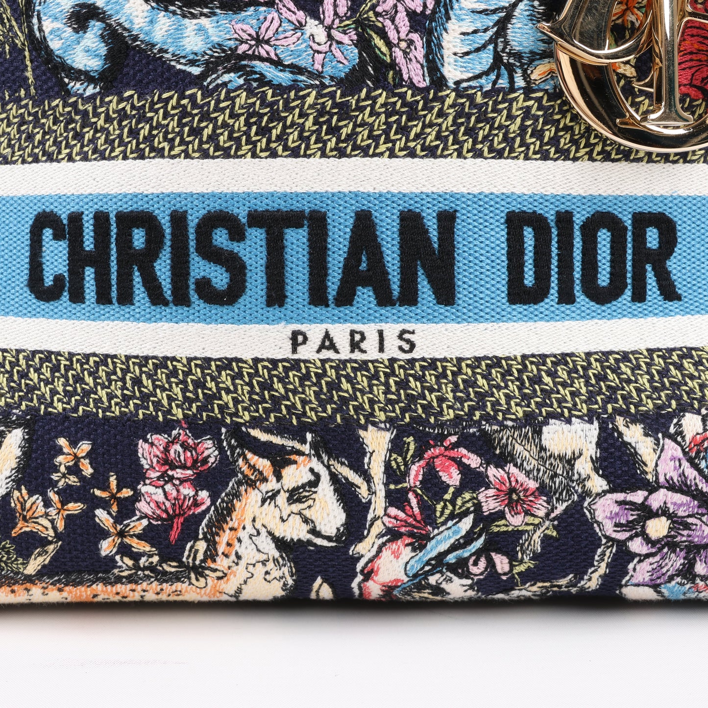 Christian Dior Lady D-Lite Canvas D-Constellation Embroidered Medium 2Way Handbag in Multicolor