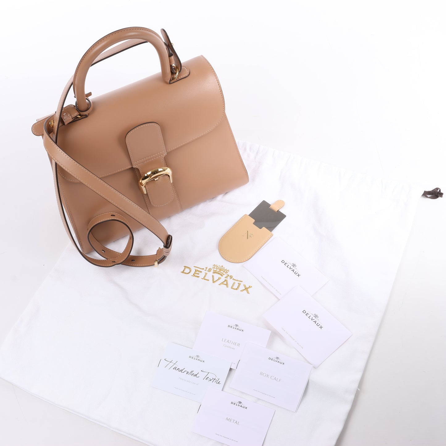 Delvaux Brillant MM Leder 2Way Handtasche in Beige
