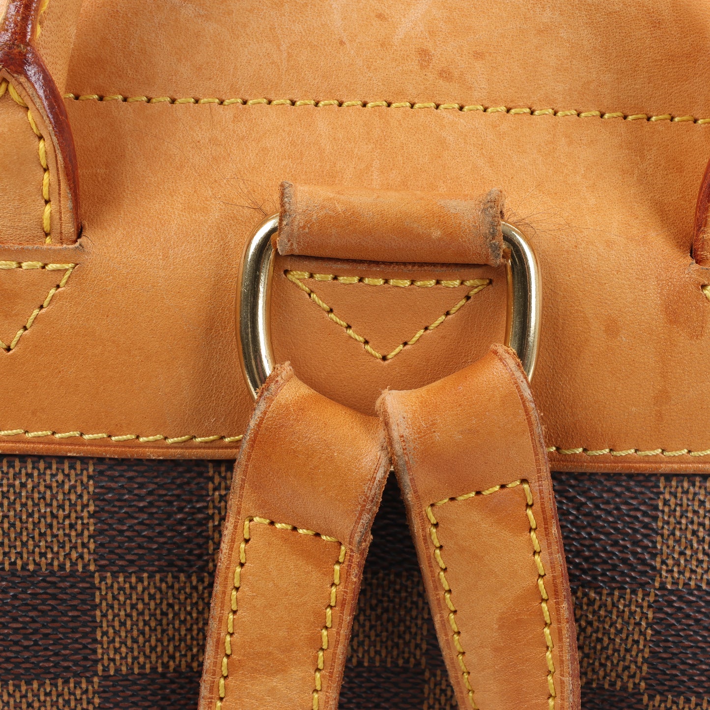 Louis Vuitton Damier Ebene Arlequin Rucksack N99038