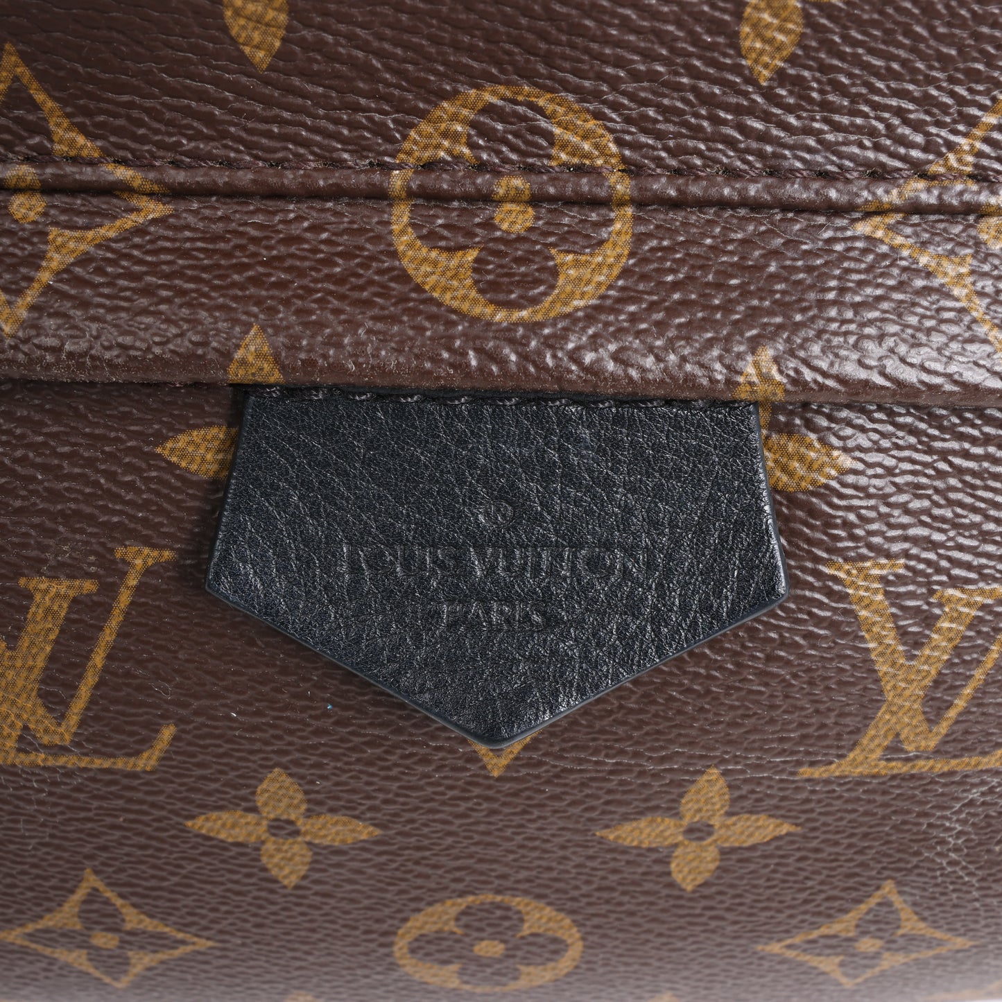 Louis Vuitton Monogram Palm Springs MM Rucksack M44874