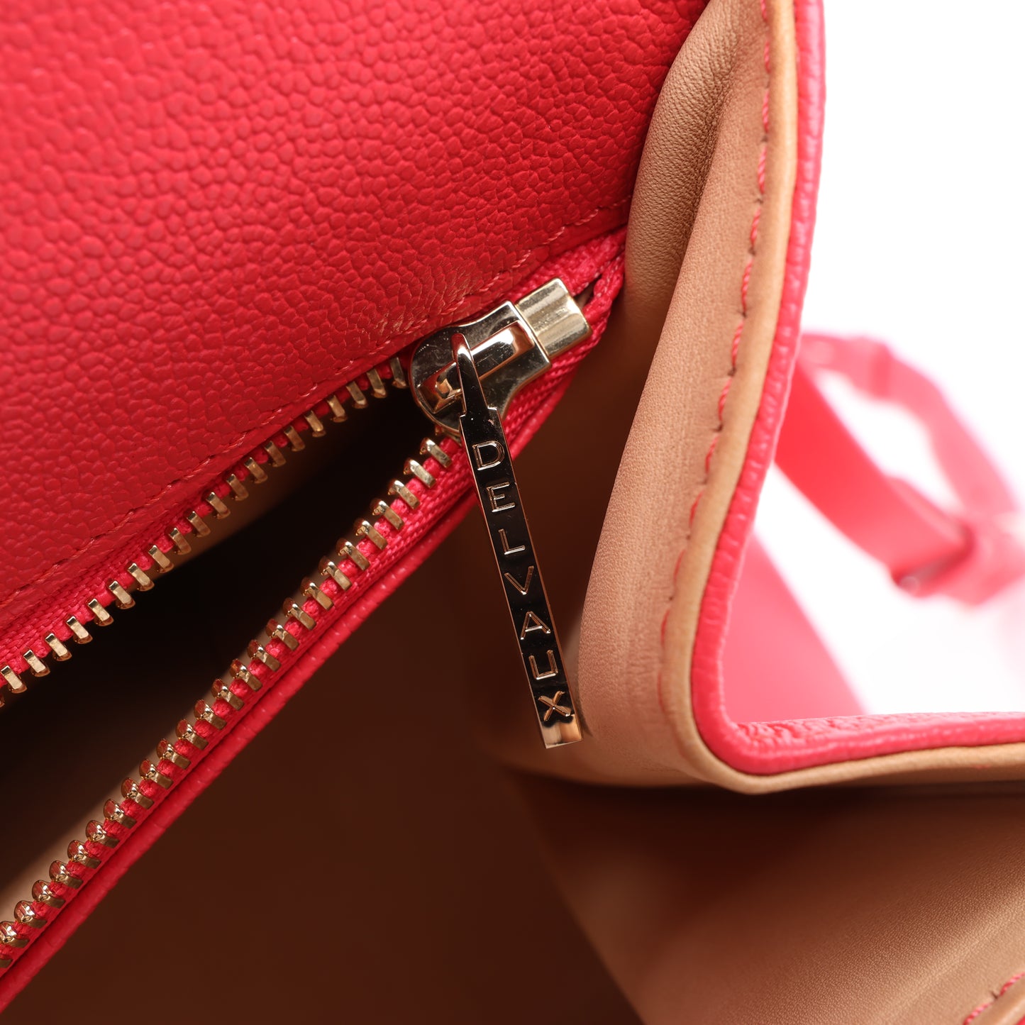 Delvaux Brillant GM Leather 2Way Handbag in Pink