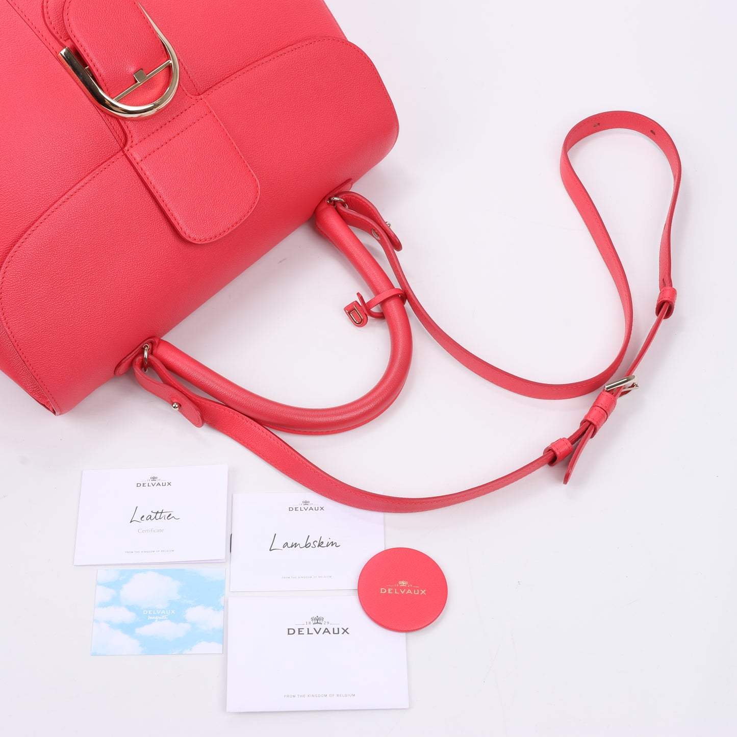 Delvaux Brillant GM Leather 2Way Handbag in Pink