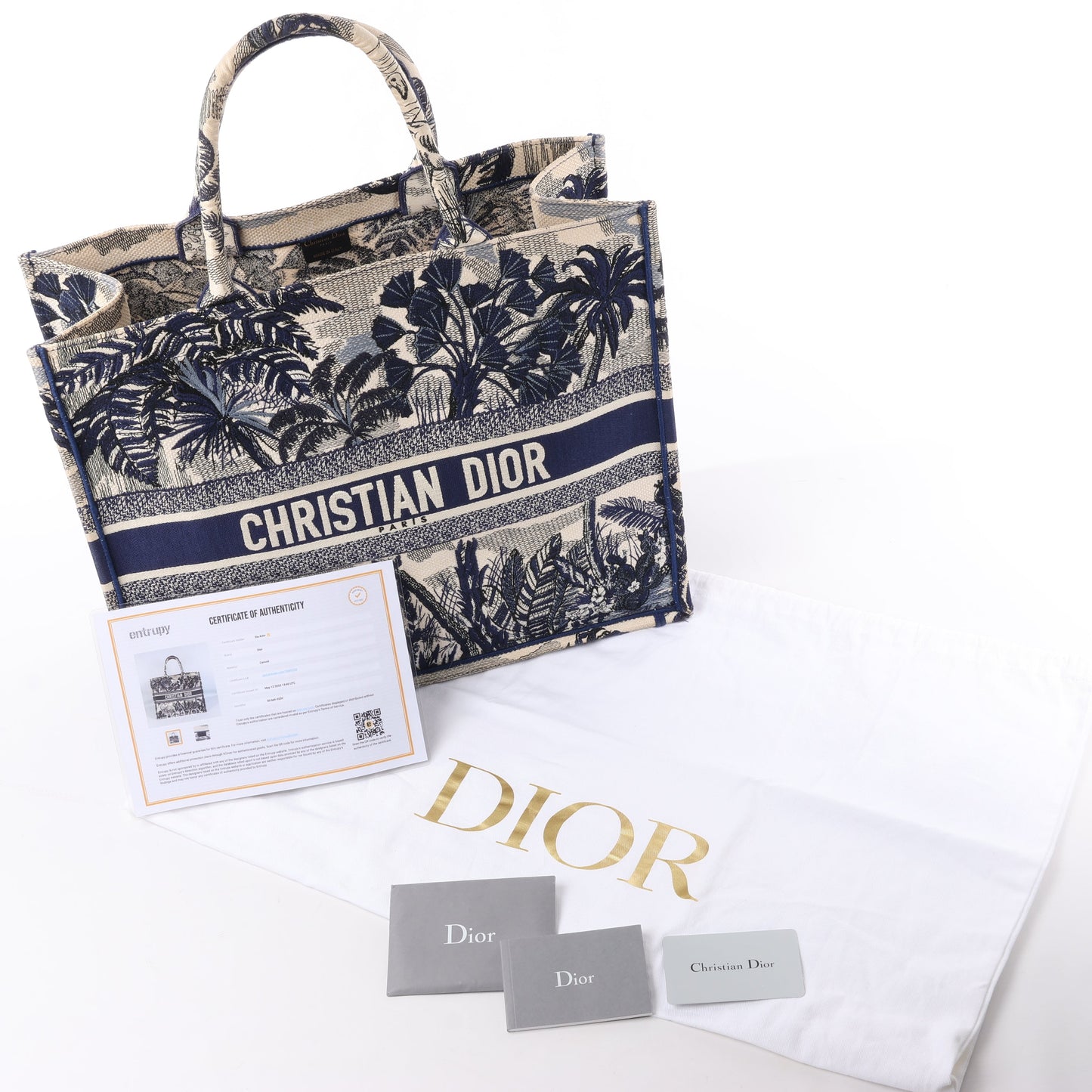 Christian Dior Book Tote, große Canvas-Tragetasche in Marineblau