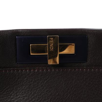 Fendi Peekaboo Large Leather 2way Handbag in Brown 8BN210